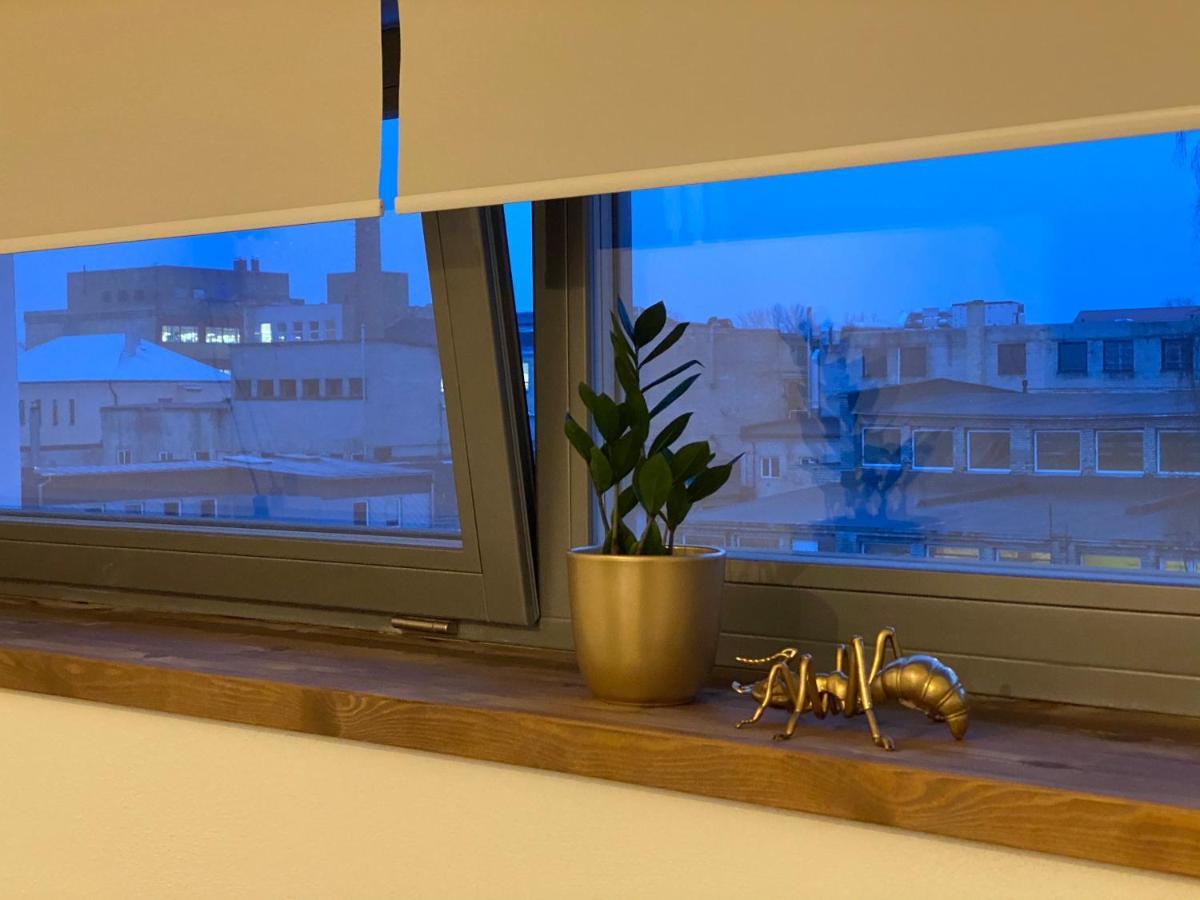 טרטו Filosoofi 1 Studio Apartments מראה חיצוני תמונה